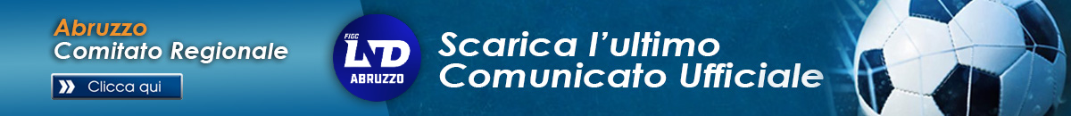 custom_html_banner1