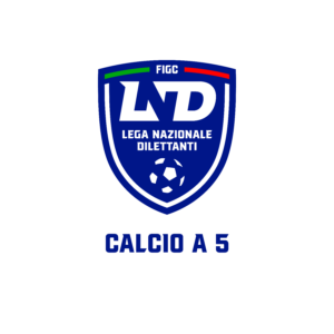 Calcio a 5 MS-B